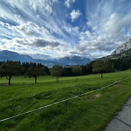 Urlaub Auf Den Land - Muehlauhof Apartmán